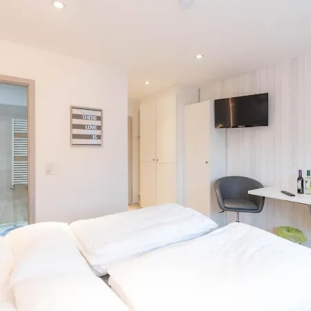 Messe-hotelzimmer-einzimmerappartement * ليفركوزن